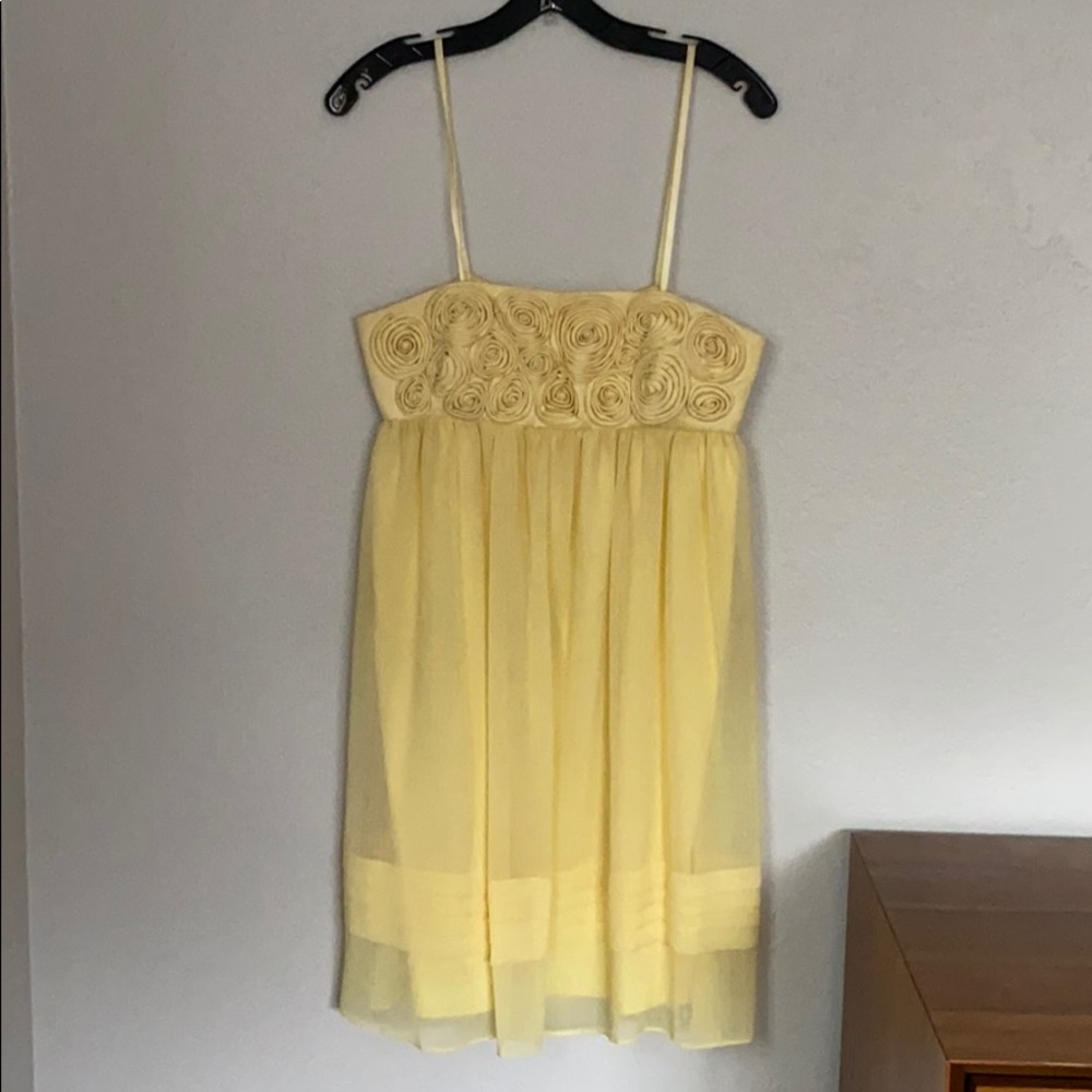 BCBG dress
